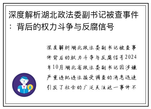 深度解析湖北政法委副书记被查事件：背后的权力斗争与反腐信号